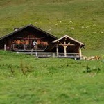niederau_b