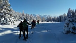 schneeschuwandern-mit-rainer-3- Ski Juwel Alpbachtal Wildschönau