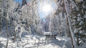 winterwandern_schoenanger_wildschoenau_1600@2x Winterwandern